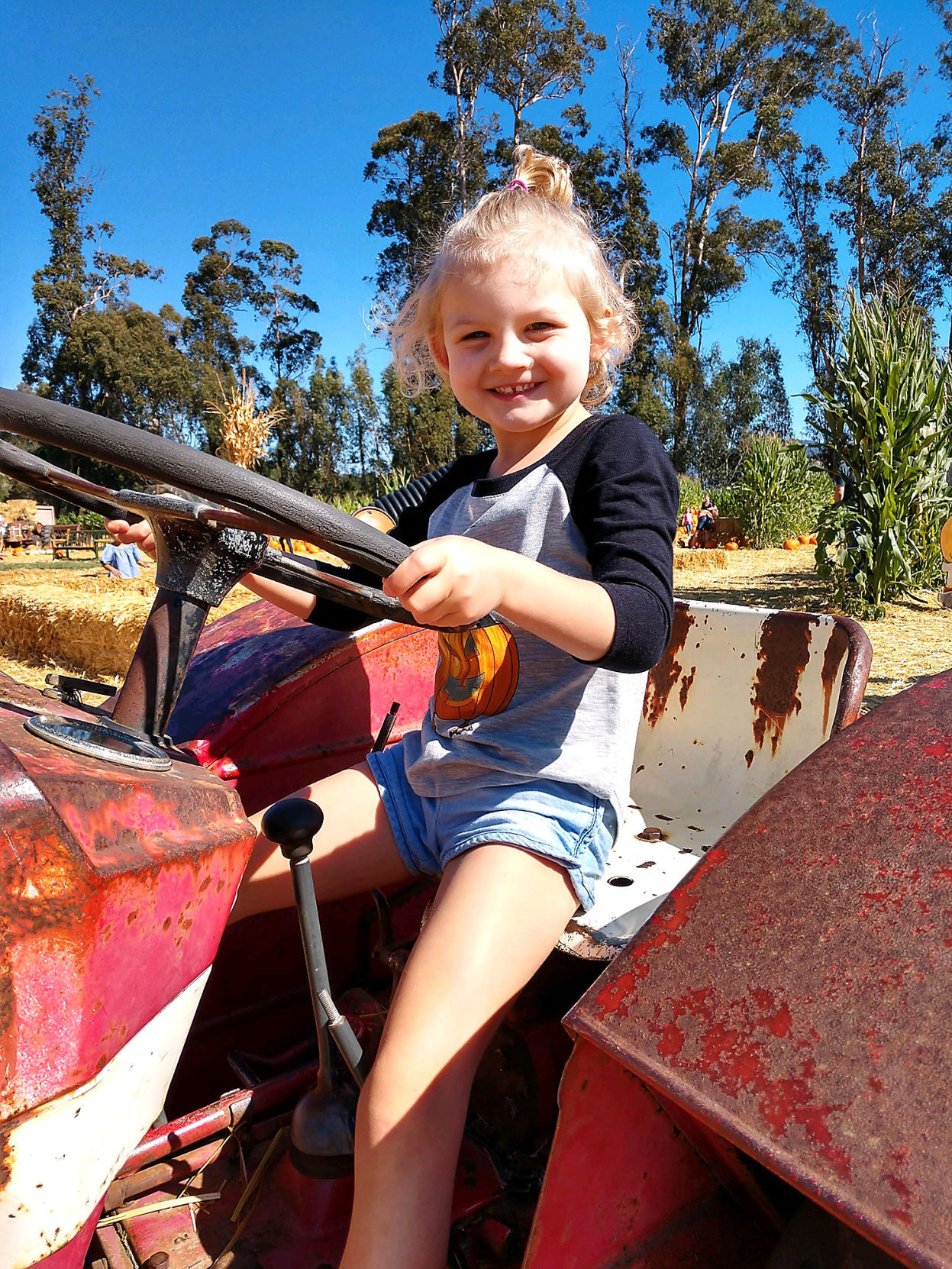 Pumpkin Patch